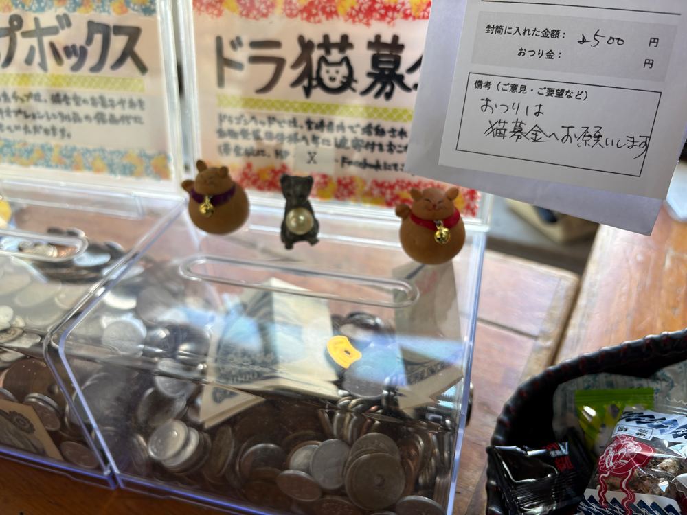 ドラ猫募金のご報告